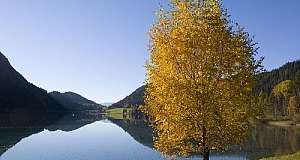 Herbst am Hintersteinersee