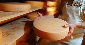 frischer Käse von der Alm